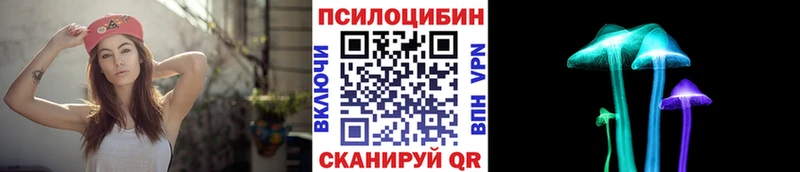 наркотики  Черногорск  Псилоцибиновые грибы ЛСД 